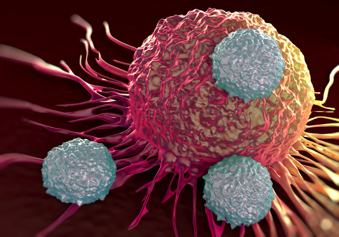 T-cell immunotherapy