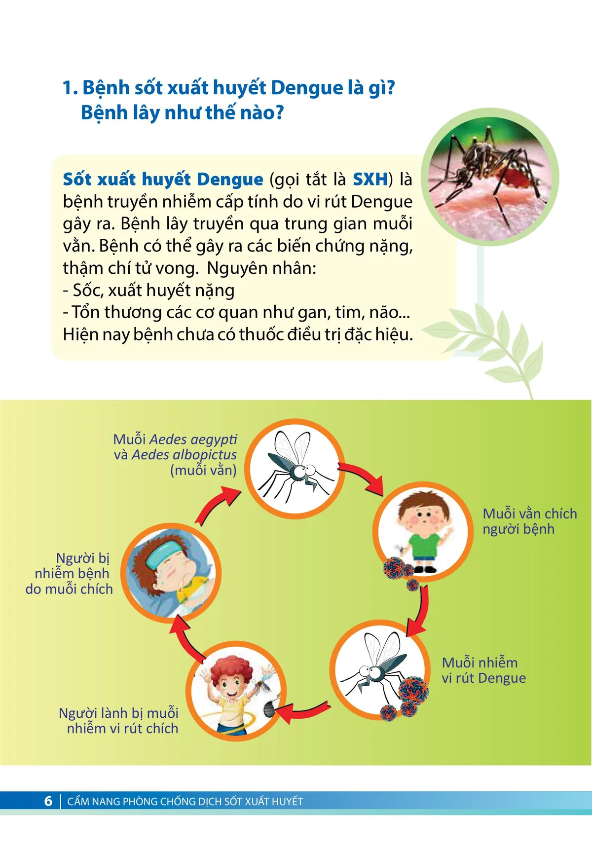 Cẩm nang phòng, chống dịch sốt xuất huyết - trang 4