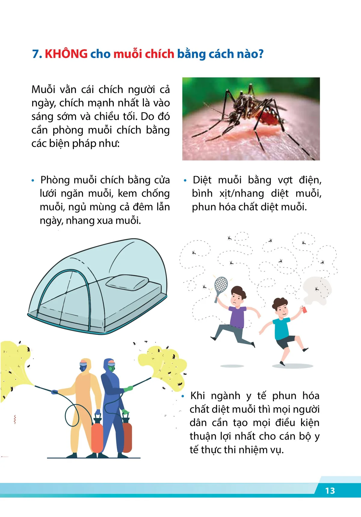 Cẩm nang phòng, chống dịch sốt xuất huyết - trang 11