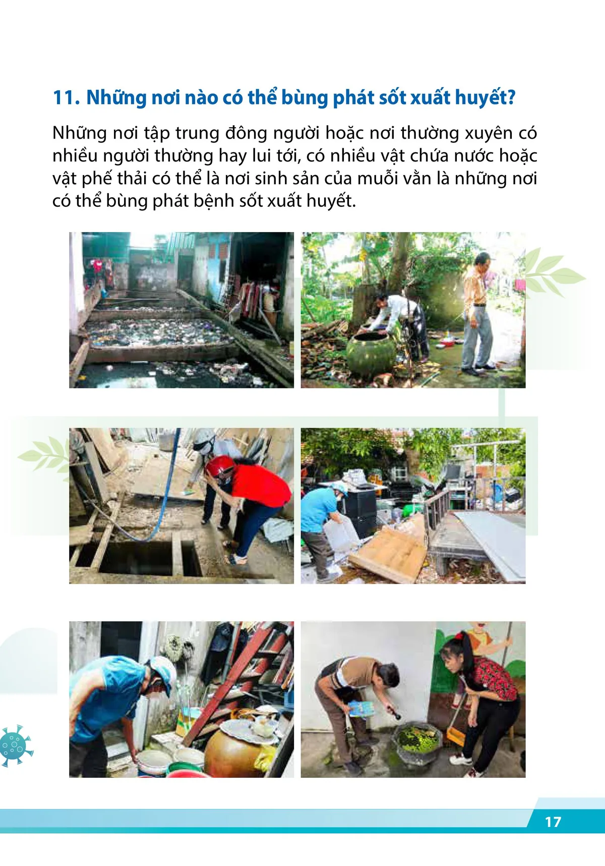 Cẩm nang phòng, chống dịch sốt xuất huyết - trang 15
