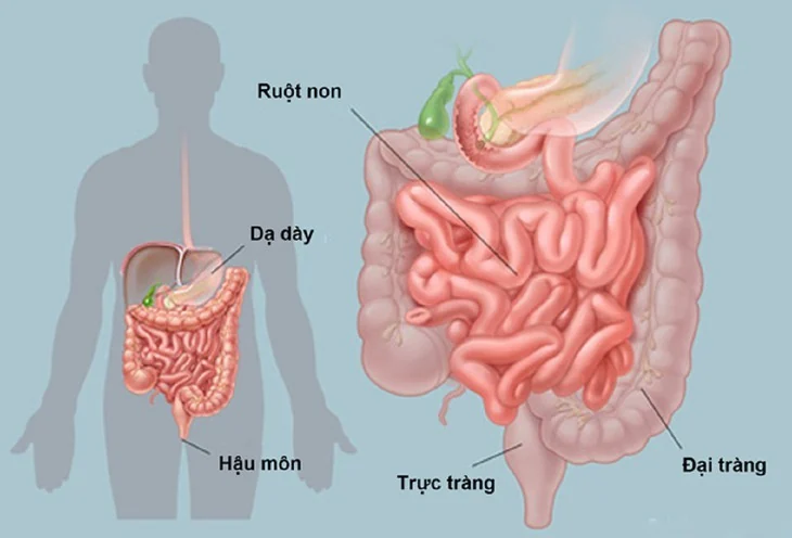 Persistent indigestion in older adults: 5 mistakes families often make