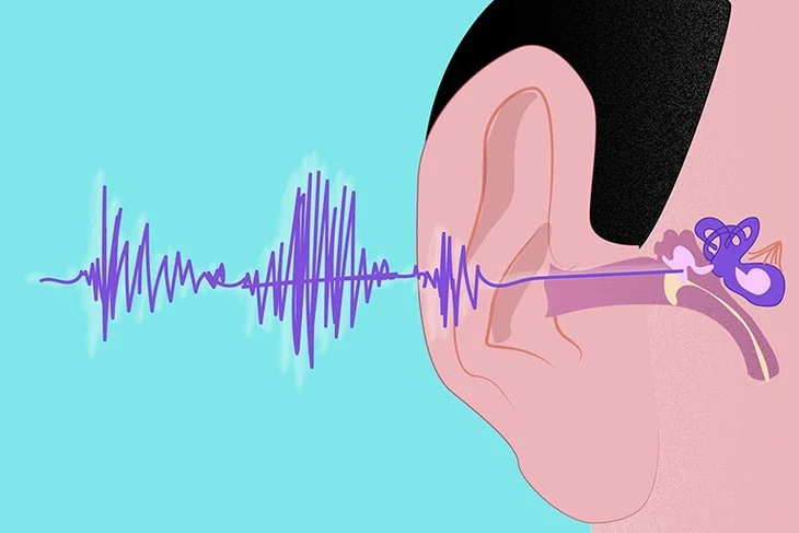 Hearing loss in older adults: signs it is time for an ear checkup