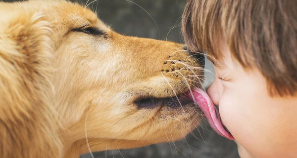 Do not kiss pets or pass food to them mouth to mouth