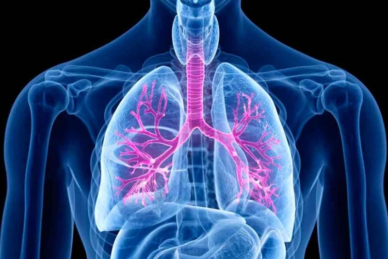 Acute bronchitis in older adults: which signs need a doctor's check?